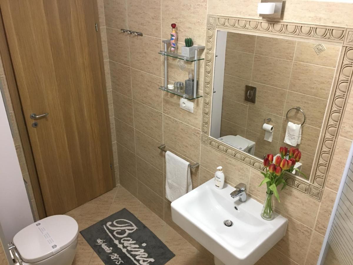 Elegantza Apartment Brasov