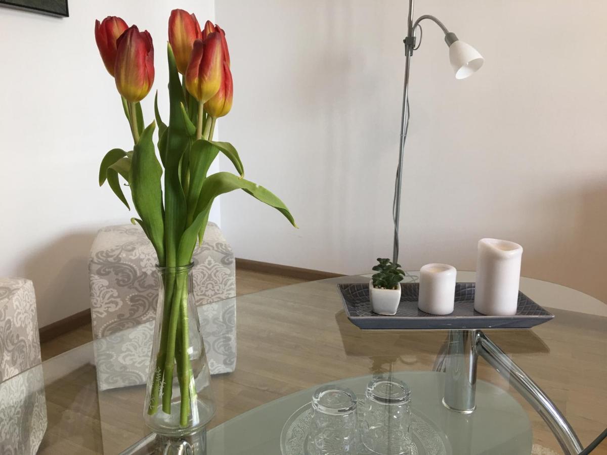 Apartment Elegantza *